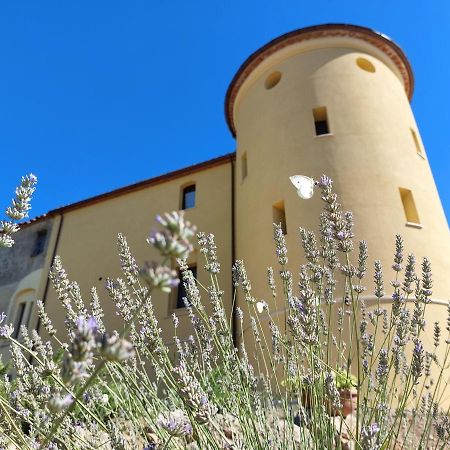 Fattoria La Campigliola Apartment Bagian luar foto