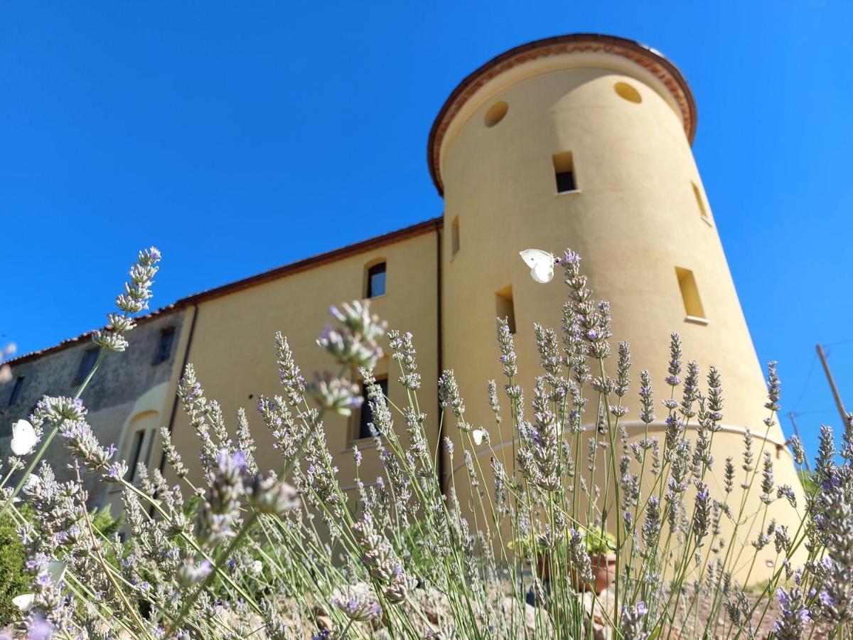 Fattoria La Campigliola Apartment Bagian luar foto